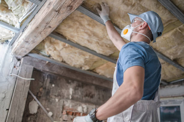 Best Insulation Maintenance and Repair in Winter Garden, FL