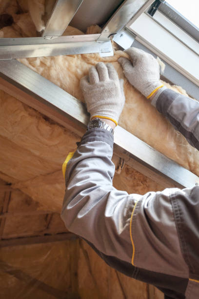 Types of Insulation We Offer in Winter Garden, FL