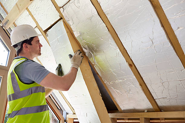 Best DIY Insulation Kits and Guidance in Winter Garden, FL