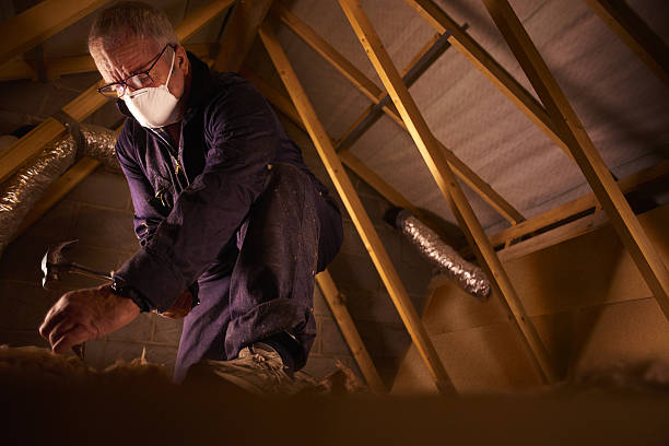 Best Cellulose Insulation in Winter Garden, FL