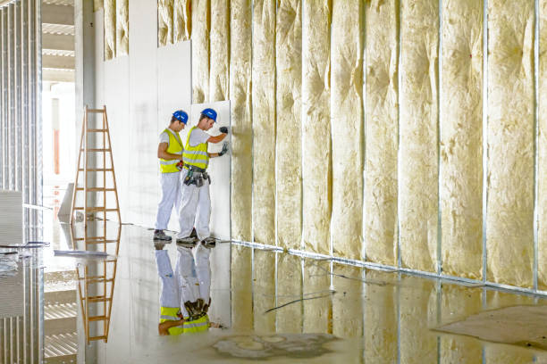 Best Eco-Friendly Insulation in Winter Garden, FL